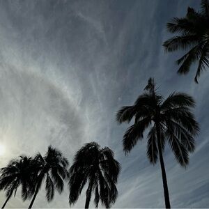 Meet your Posher, Dee!